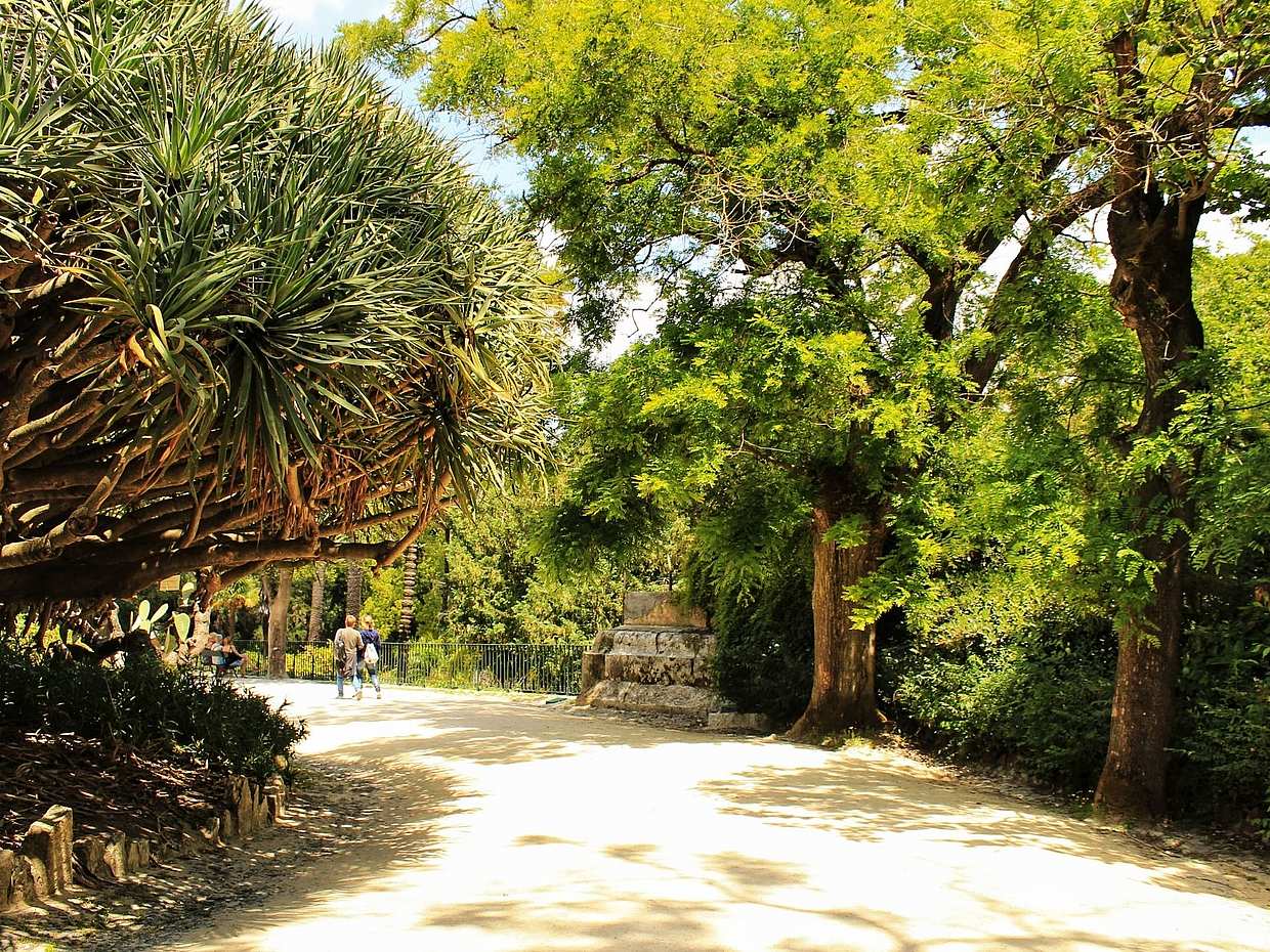 Visite privée de Principe Real et des jardins botaniques au Portugal, Lisbonne.
