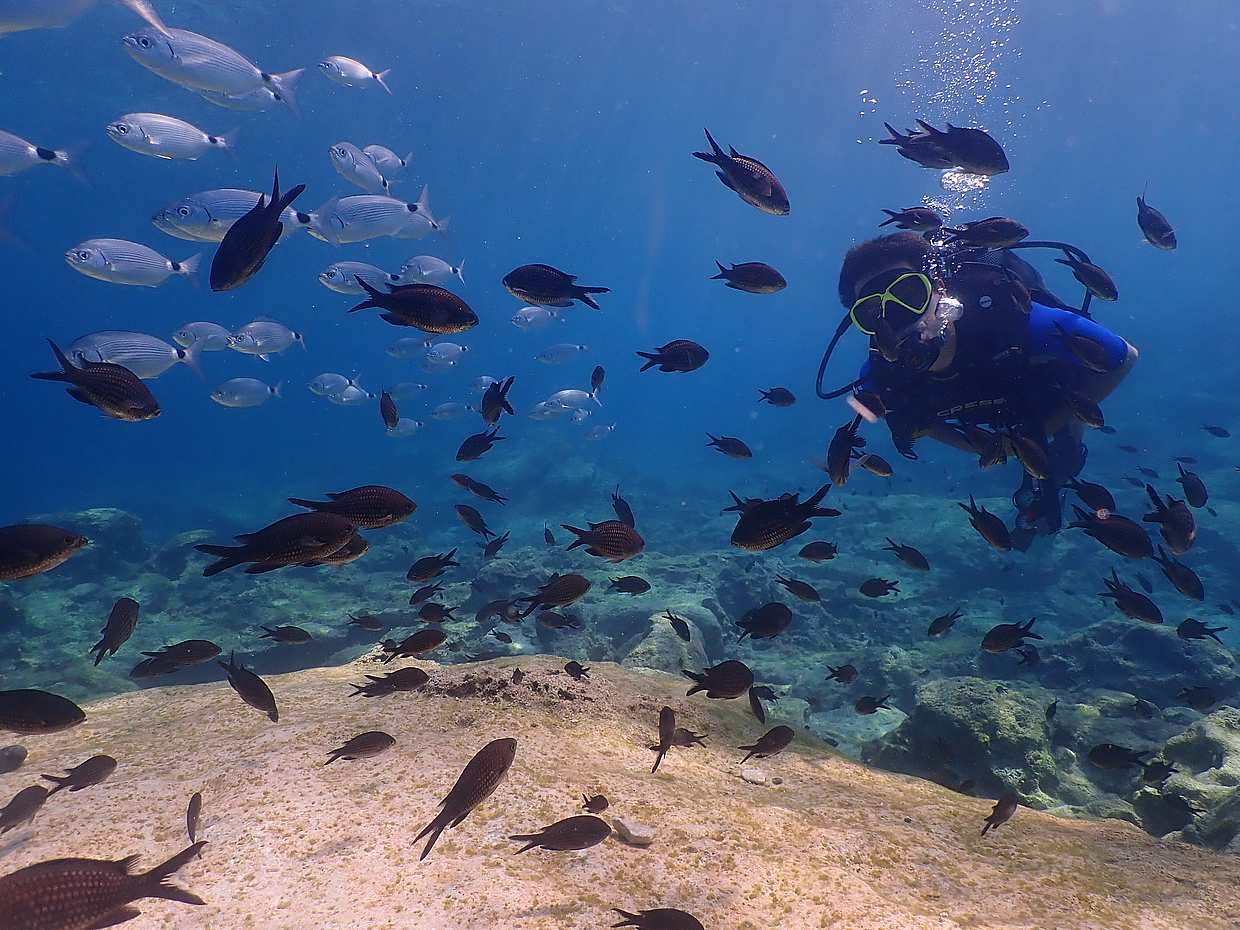 Scuba Diving for Beginners (try dive), photo 2