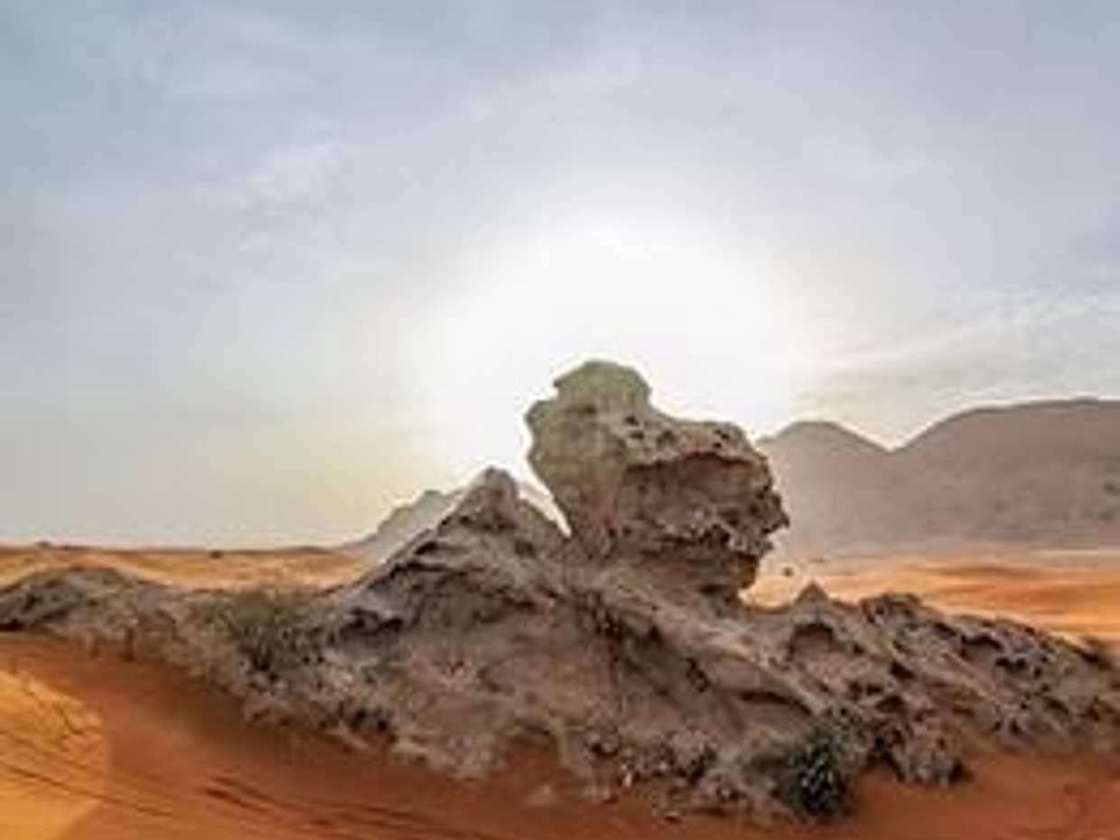 Ranní pouštní safari s návštěvou Honey Bee Garden ve Spojených arabských emirátech, Dubaji.