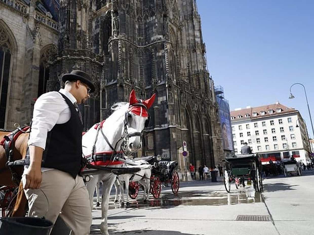 Recorrido privado por la ciudad de Viena: Palacios, iglesias y opción de tarta Sacher, photo 5