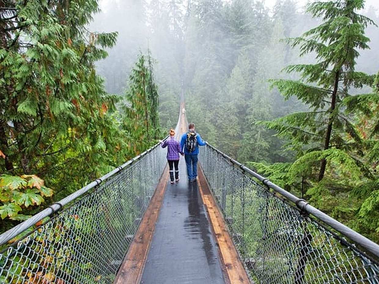Vancouver City Tour With Stanley, Grouse Mountain & Capillano Suspension Private, photo 2
