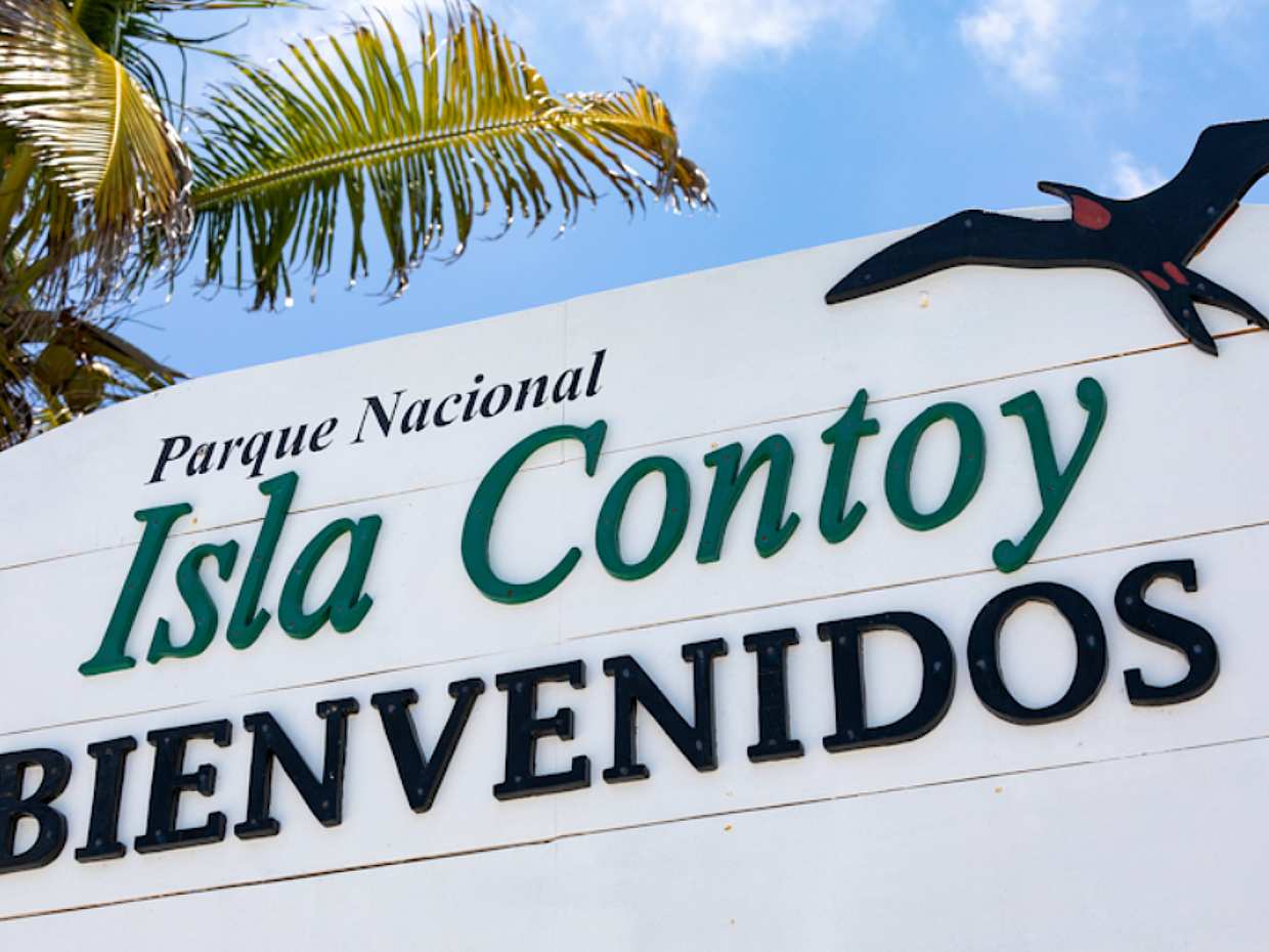 Isla Contoy Tour with Ixlaché Reef Snorkelling in Mexico, Cancún, photo 2