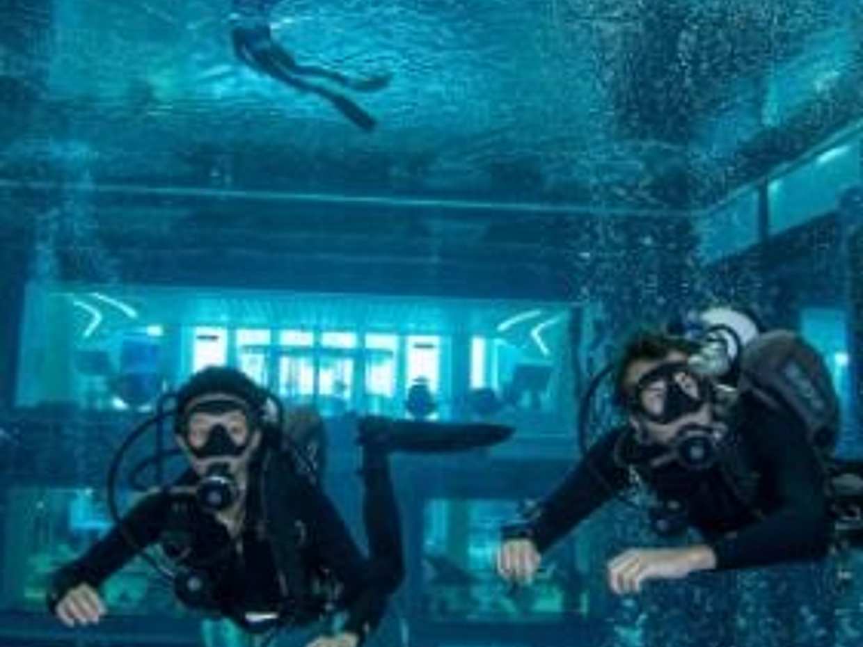 Βαθιά Κατάδυση Ανακαλύψτε την Κατάδυση με Σκούμπα - Για Πρώτους δύτες στα Ηνωμένα Αραβικά Εμιράτα, Σάρτζα, photo 2