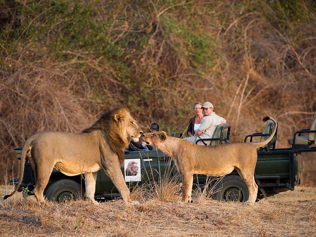 Ganztägige private South Luangwa Tour in Sambia, Kakumbi
