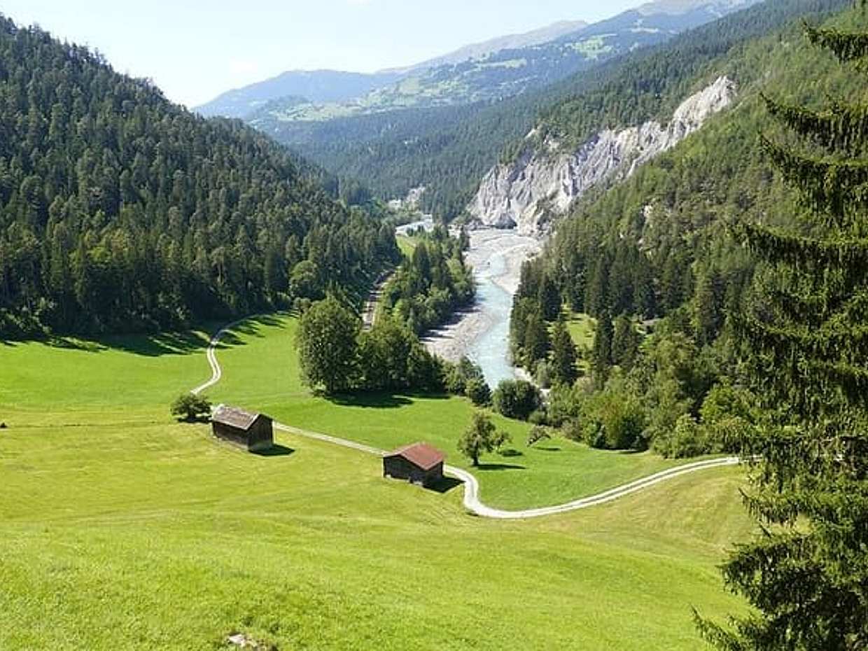 Soukromý celodenní výlet z Frankfurtu do údolí Rýna s místním řidičem v Německu, photo 3