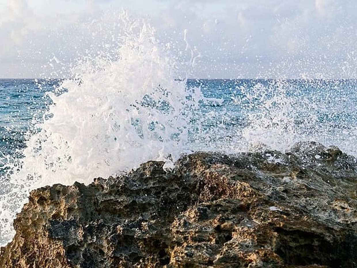 Private Transfer Tulum-Bacalar with optional 2h in Sian Ka'an Biosphere Reserve, photo 5