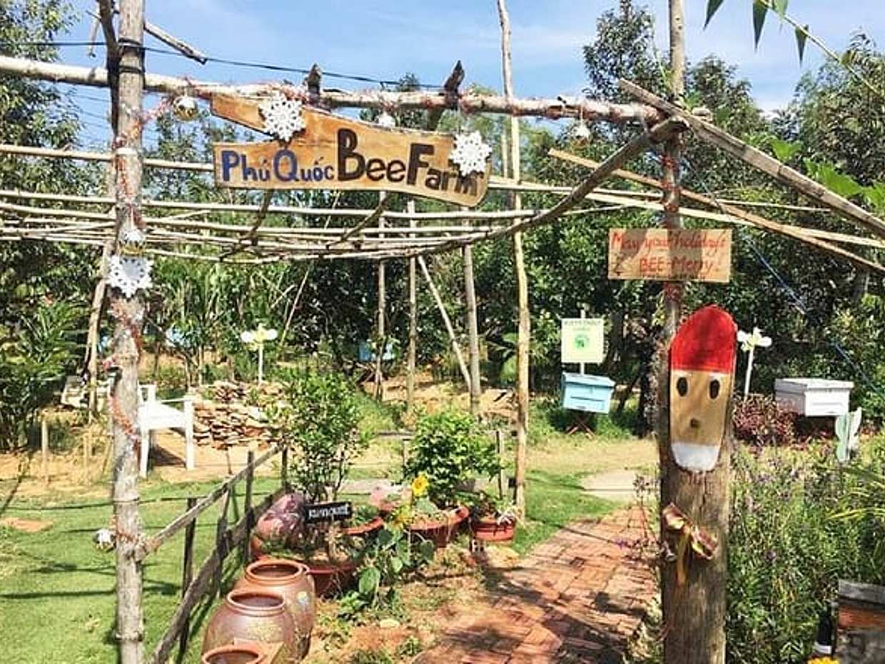 Best Choice Land Tour Phu Quoc Northern & Kayaking, photo 4
