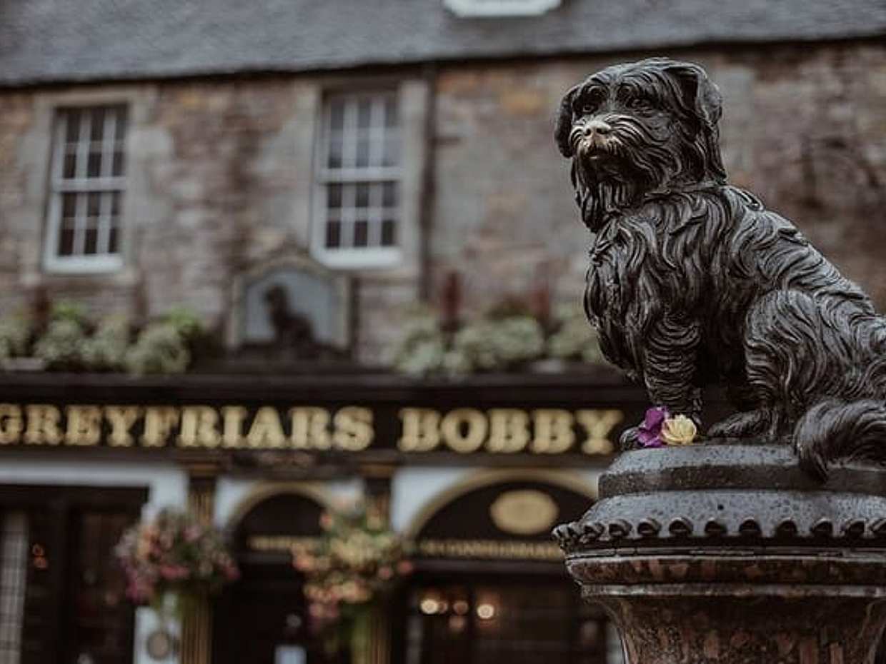 "Duchové Edinburghu: Prohlídka a hra s průzkumem krvavé minulosti ve Spojeném království"., photo 4