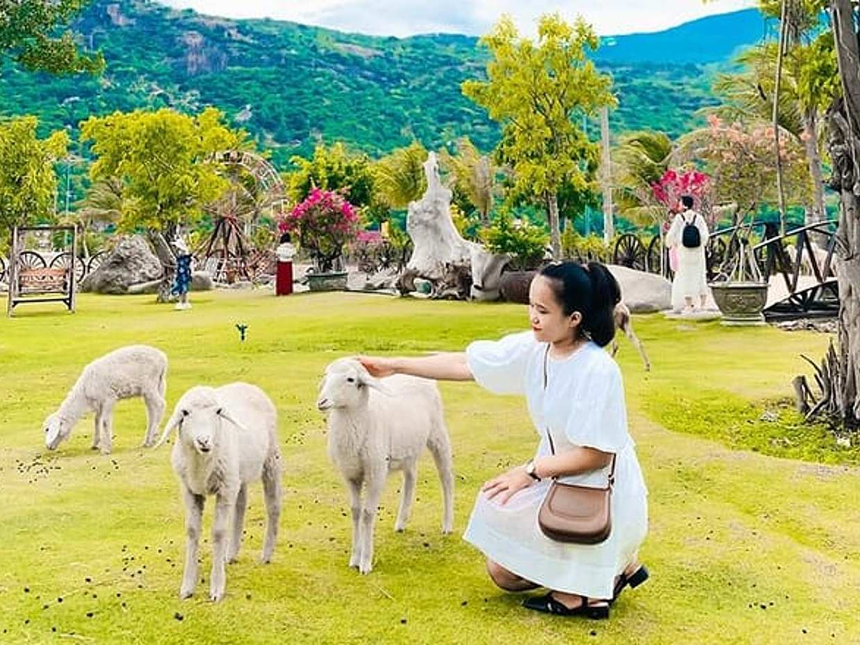 "Fattoria Rai Cave Grape, Campo di Pecore, Tour Avventura a Nha Trang in Vietnam"
