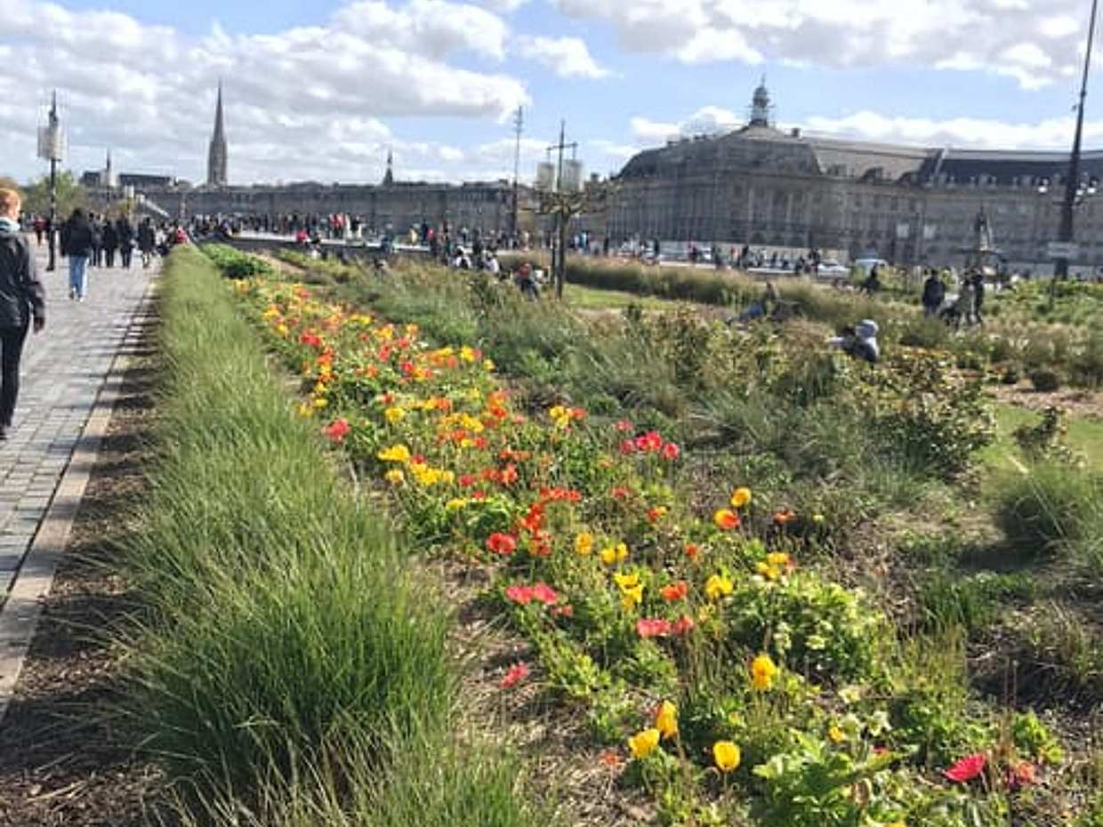 Private: Best of Bordeaux Walking Tour + A glass of Natural Bordeaux Wine, photo 2
