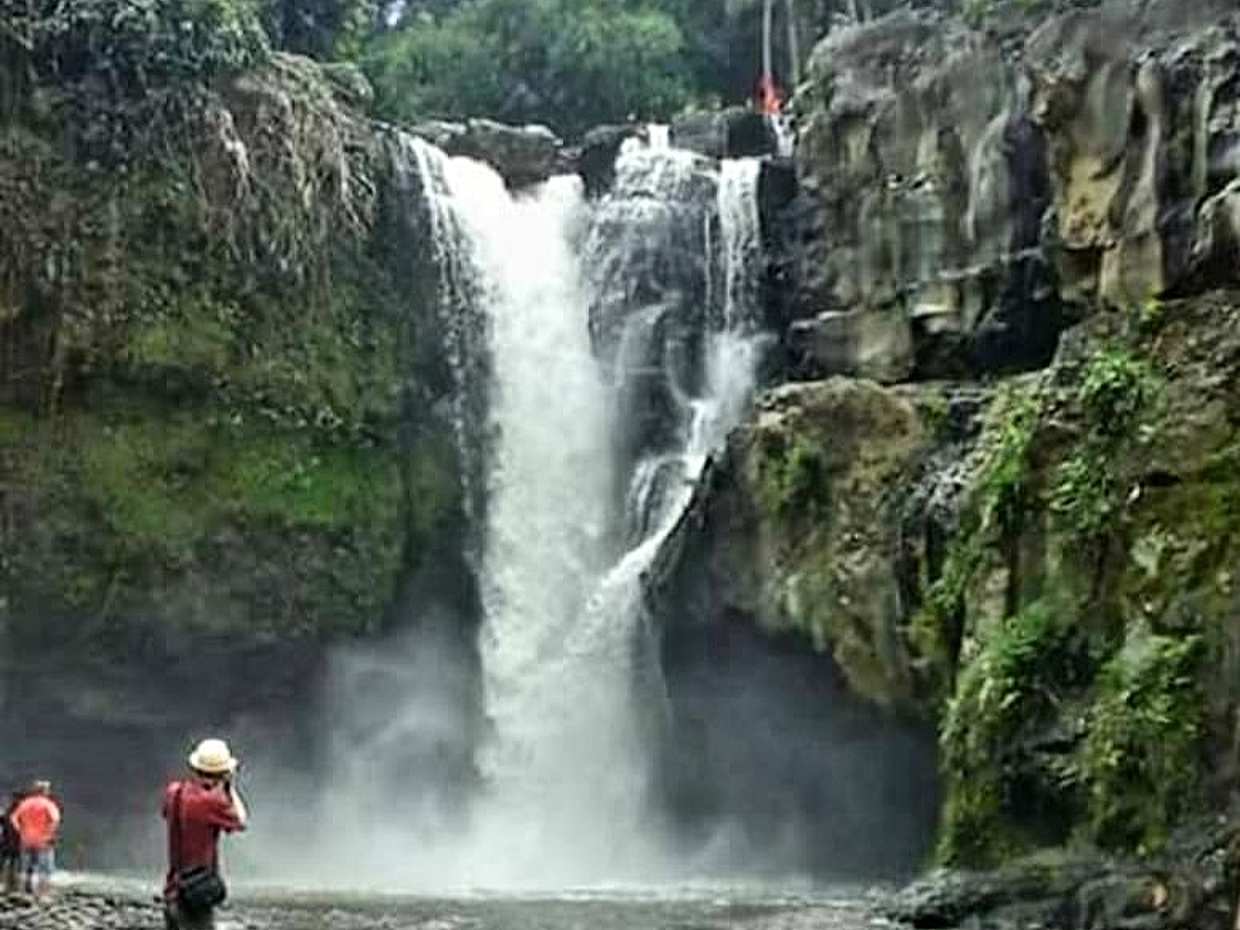 Ubud All Inclusive Tour: Best of Ubud, photo 4