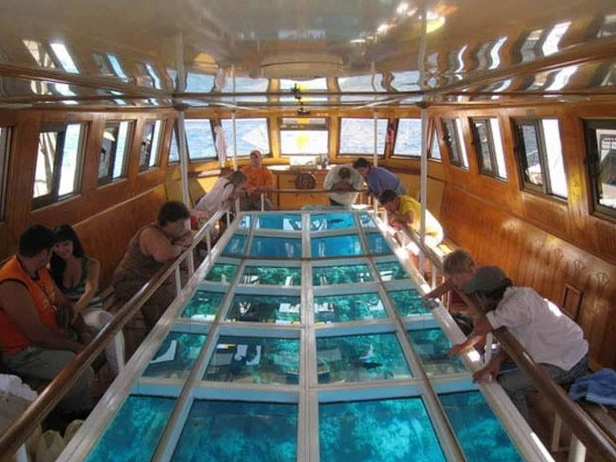 Exploring the Sea in Glass Bottom Boat in Sharm el Sheikh in Egypt, Sharm El-Sheikh