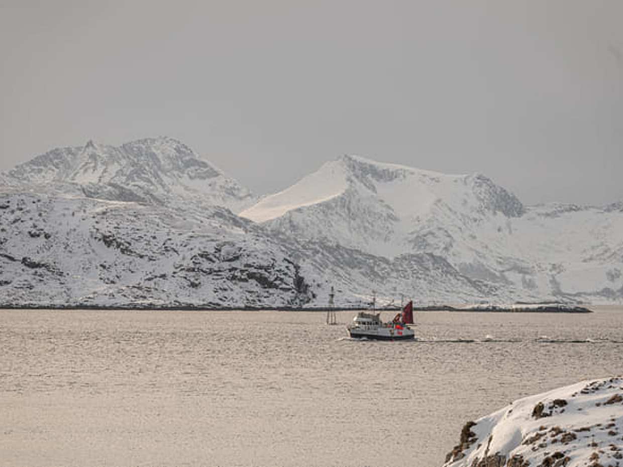 Arctic fjord tour in Tromsø - Sommarøy & Kvaløya, photo 5