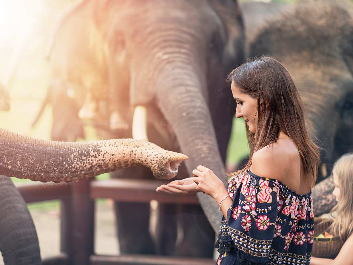 Elephant Tour in Ubud in Bali, Indonesia, photo 3
