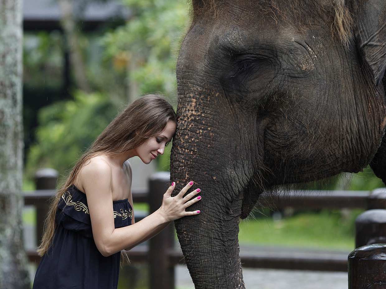Bali Elephants Safari Park