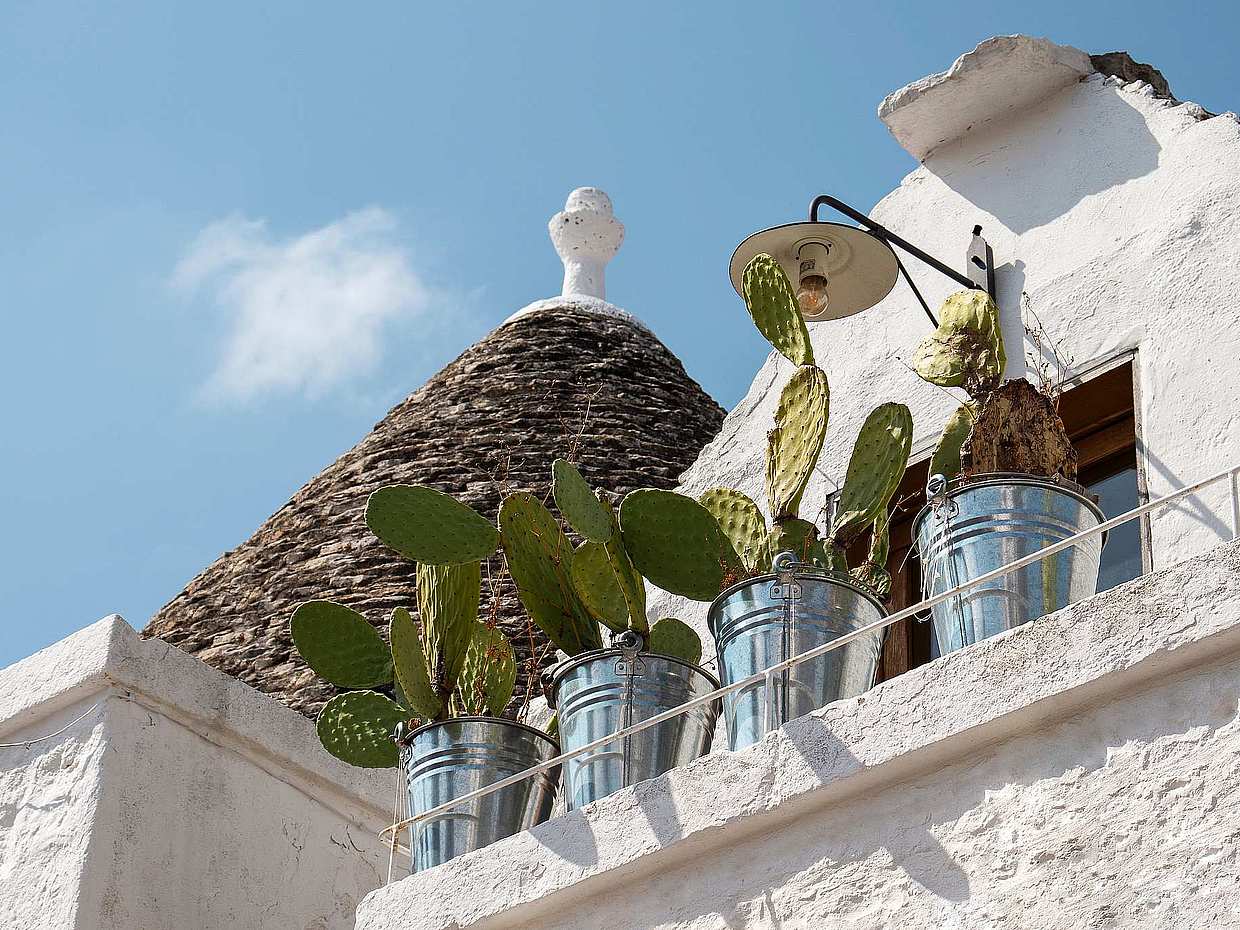 Besuchen Sie Alberobello & Matera auf einer privaten Tour ab Bari in Italien
