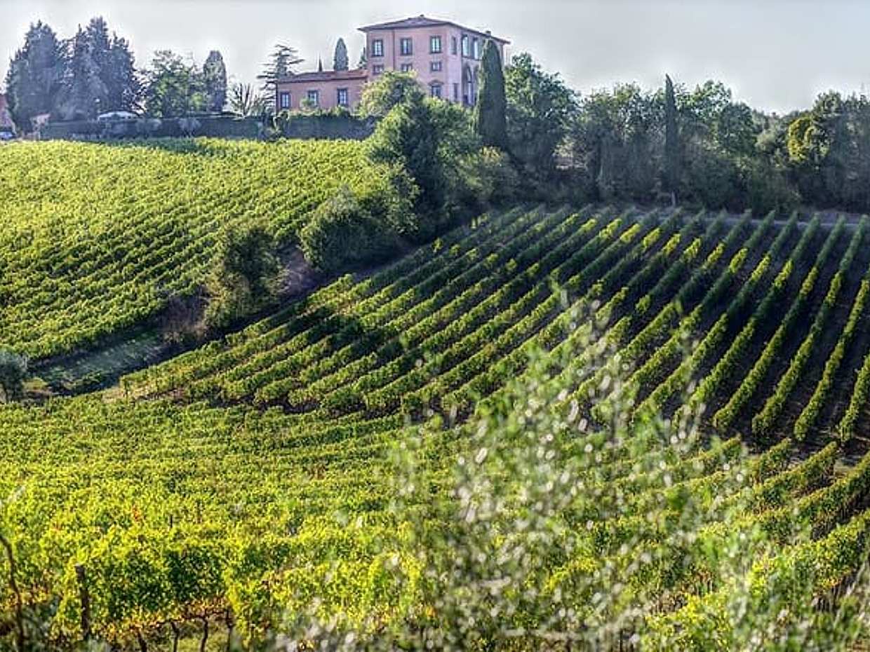 PRIVATE Full-Day Wine Experience in Chianti Classico., photo 2