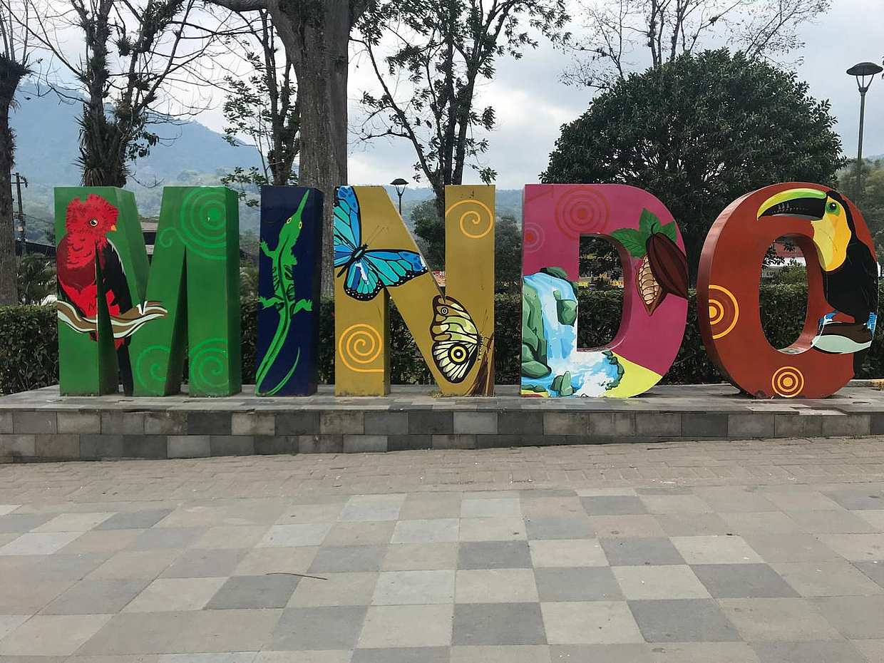 Mindo Cloud Forest Day Tour Naturaleza, Vida Silvestre & Experiencia de Chocolate en Ecuador, Quito, photo 5