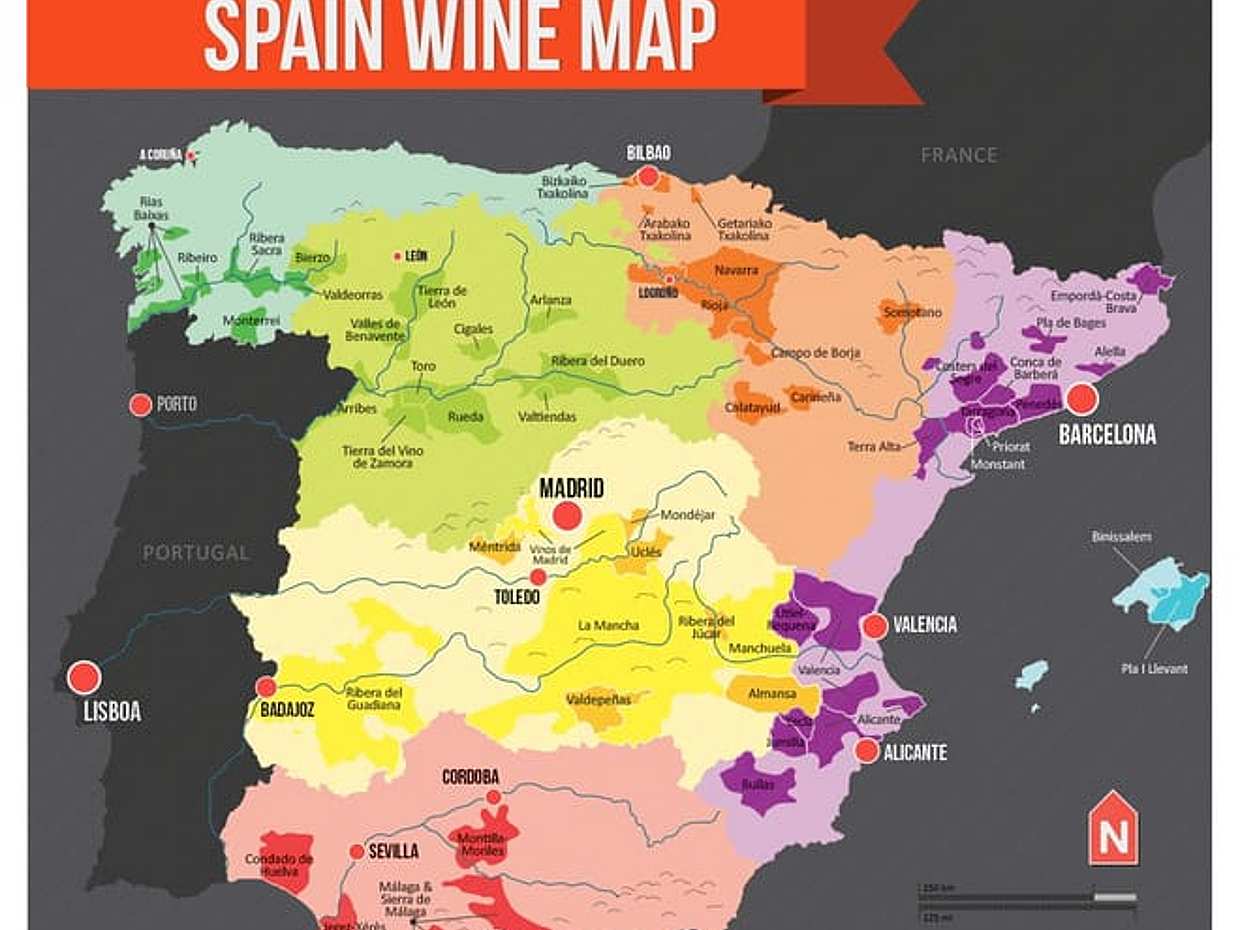 Madrid Local's Wine and Tapas Lunch Tour with a side of History in Spain, photo 3