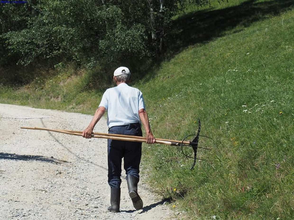 Vanuit Brasov: tweedaagse begeleide trektocht in Piatra Craiului National Park - Eco-gecertificeerd programma in Roemenië, Brașov, photo 5