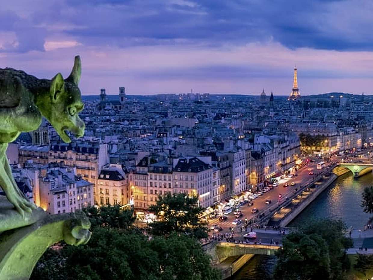 Paris Private City Tour by Night by Mercedes.