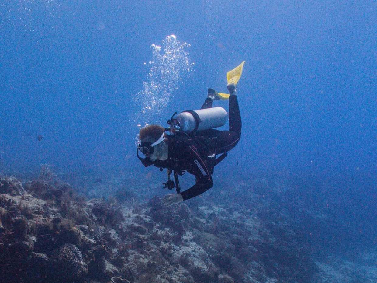 Explore Submerged Treasures: Scuba Diving Experience in Djerba in Tunisia, Djerba Midun, photo 3