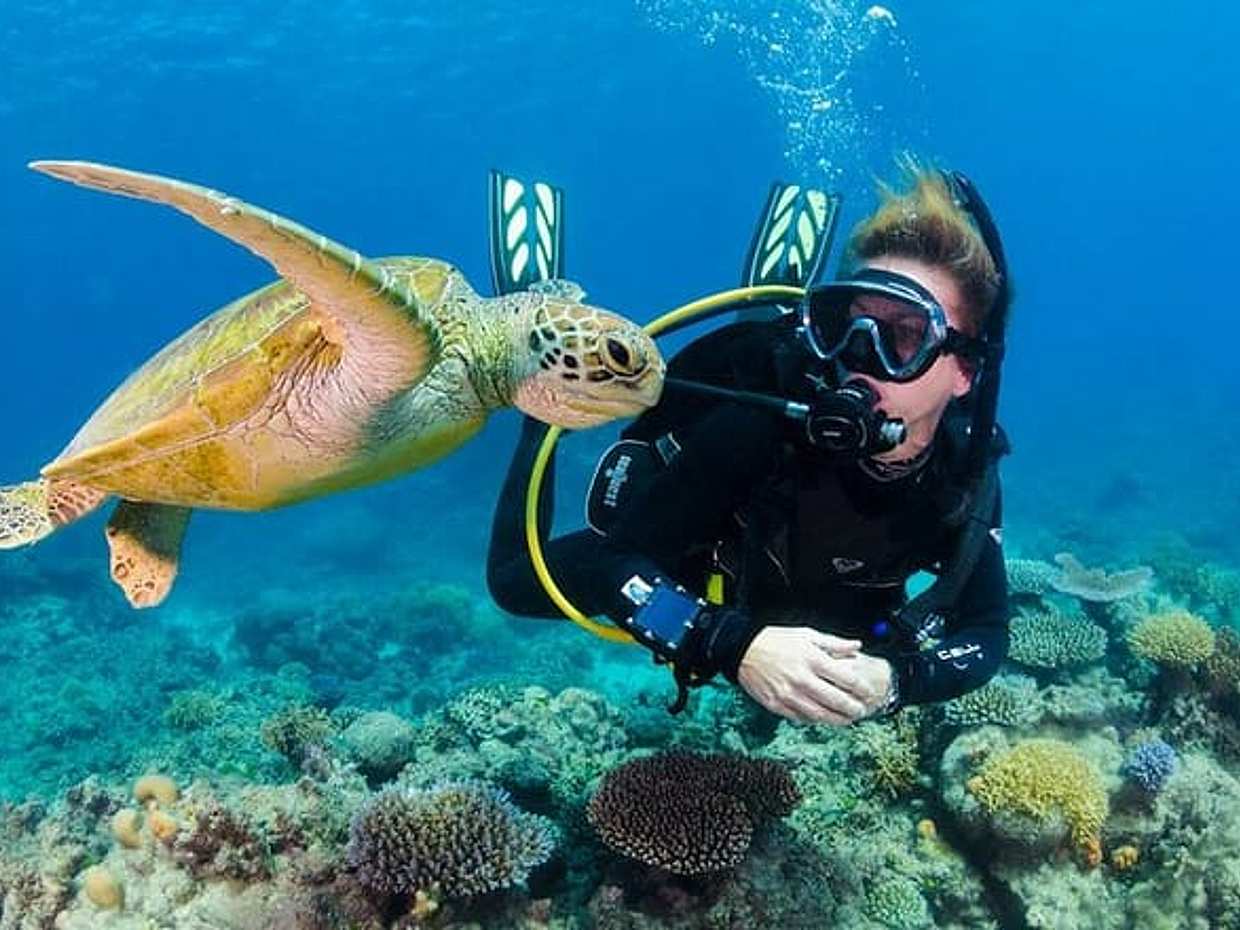 Scuba Diving in Nha Trang Explore Stunning Coral Reefs, photo 3