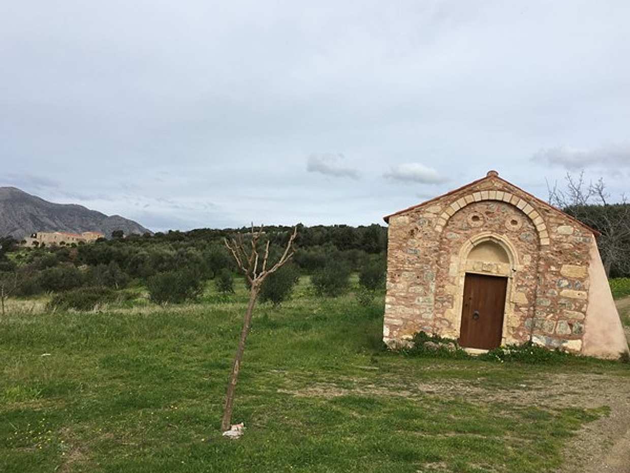 RTH02. Explore the Secrets of Wine and Olives in Greece, Rethymno, photo 2