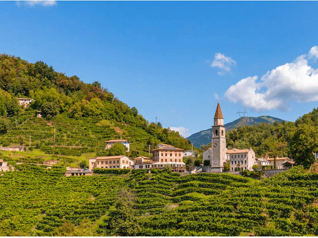 Discovery tour of the prosecco region with tastings from Venice, photo 5