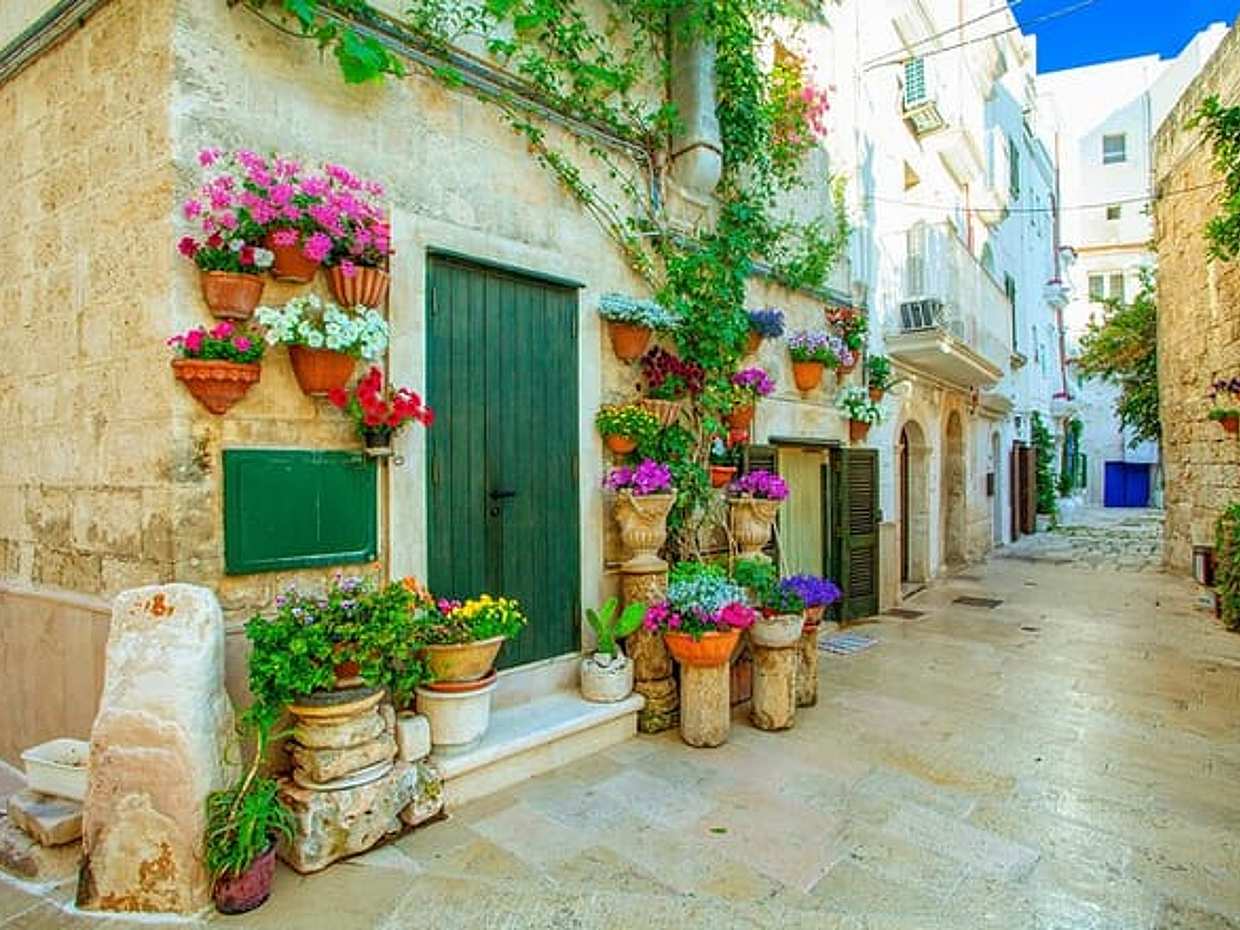 Private direct transfer from Naples to Bari with local driver in Italy, Campania