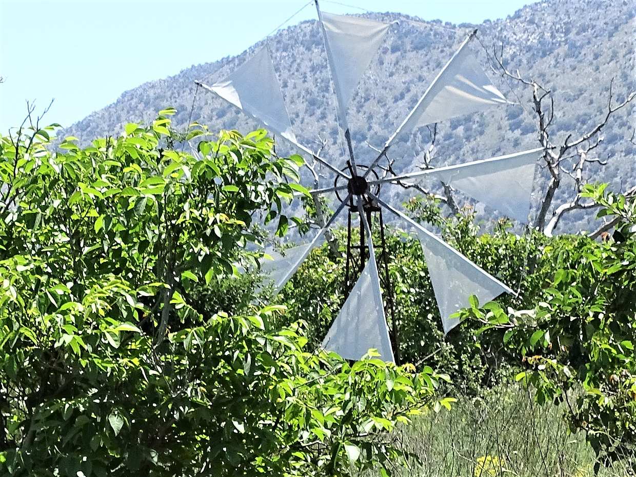 Heraklion'dan: Lasithi Platosu, Zeus Mağarası, Yel Değirmenleri ve Zeytinyağı Fabrikası Küçük Grup Turu, photo 3