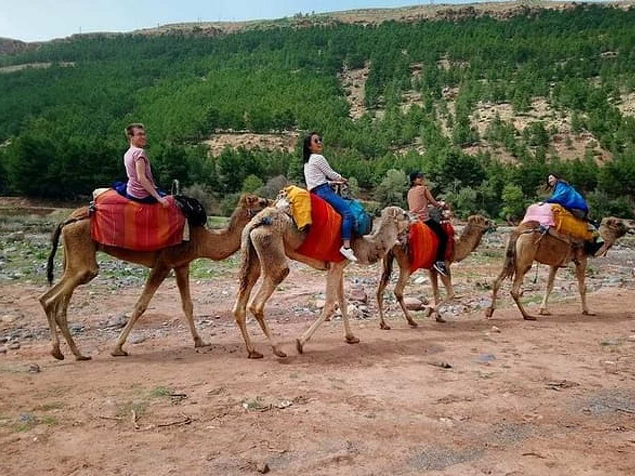 Three Valleys & Waterfalls & Atlas Mountains - Camel ride Day Trip Marrakech, photo 4