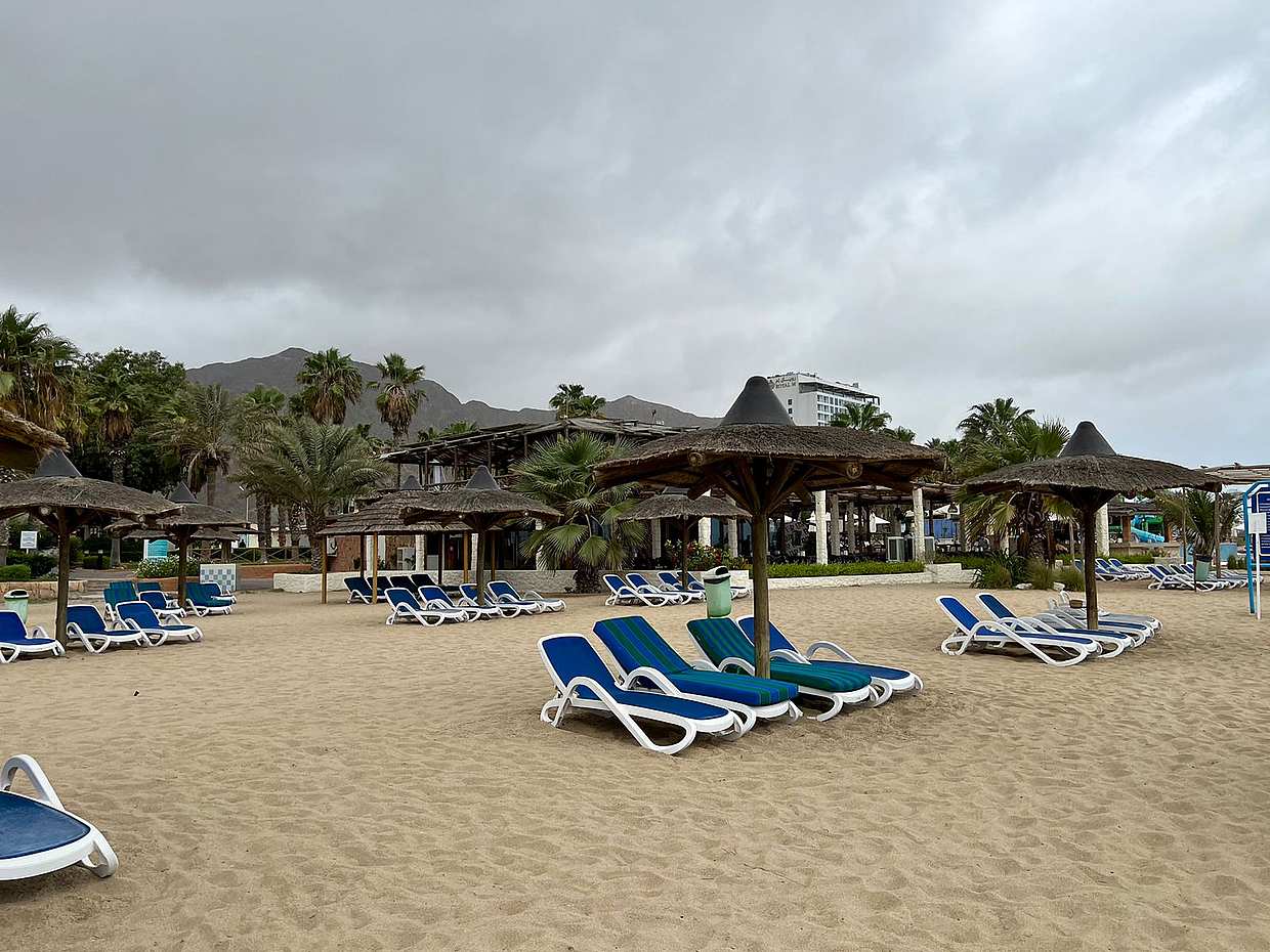 Trip to the Indian Ocean from Sharjah
 in United Arab Emirates, Dubai, photo 3