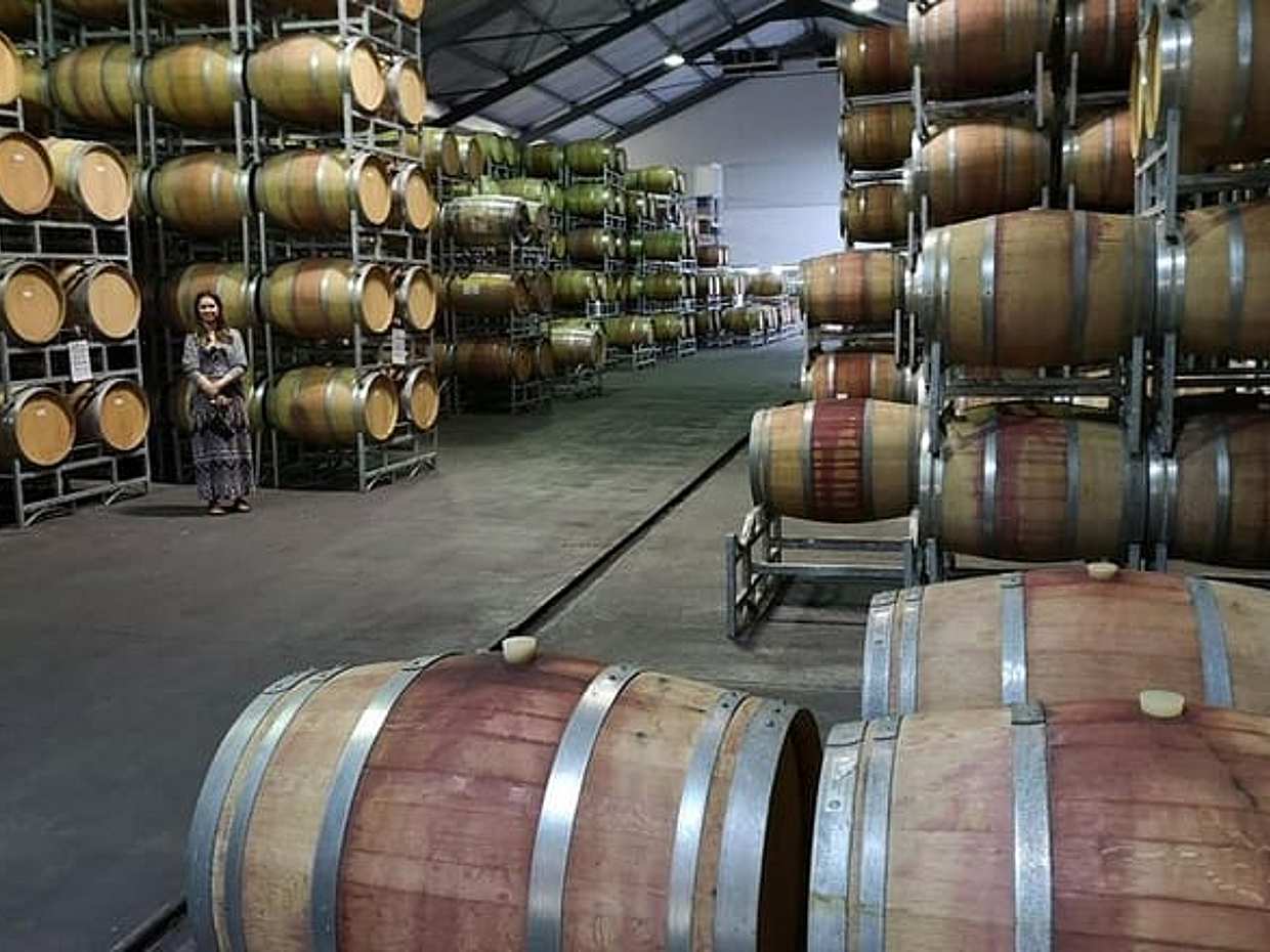 Private Half DayTour:Cape Winelands, Stellenbosch from Cape Town in South Africa, photo 5