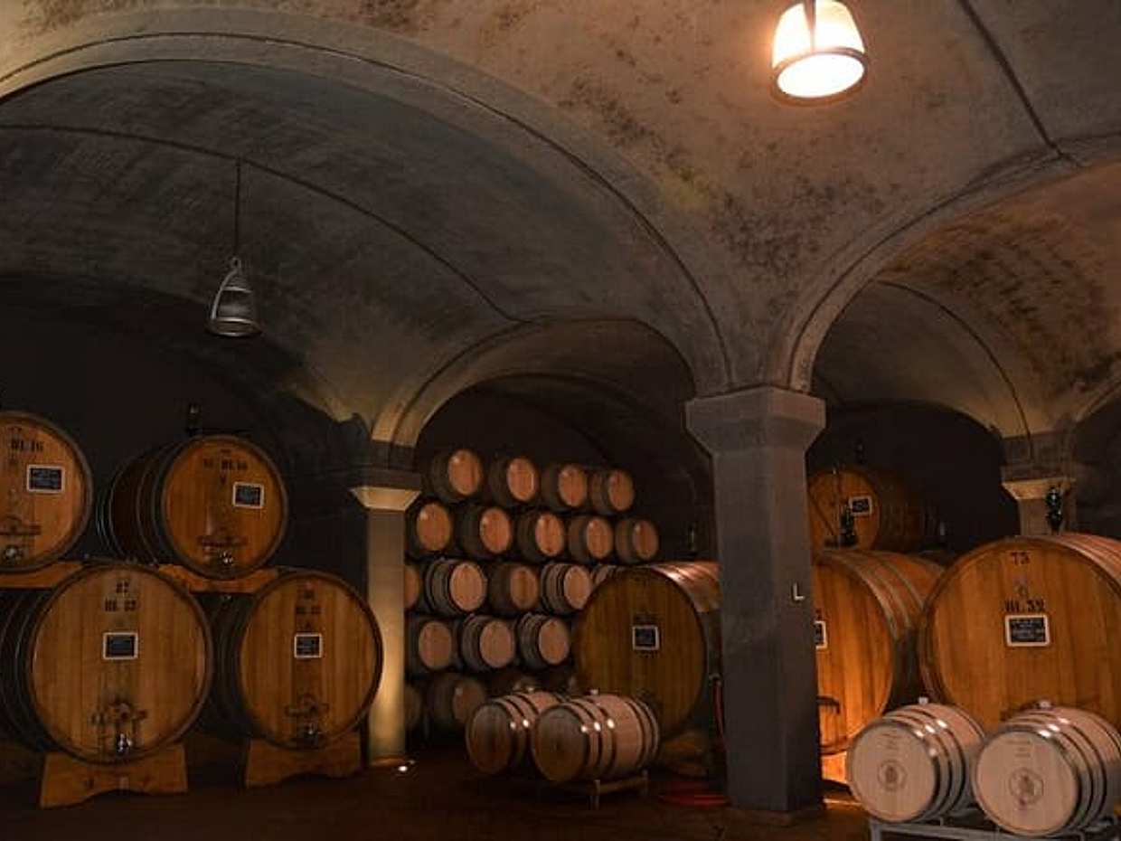 Exclusive Private Brunello di Montalcino Experience from Florence