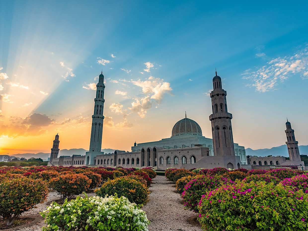 Half-Day City Tour: Splendors of Muscat in Oman