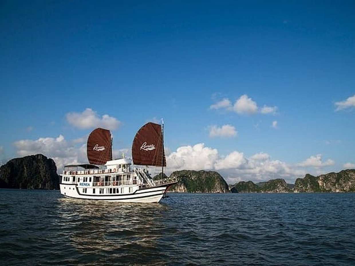 Hanoi: Renea Cruises- BEST 2 Days 1 Night Trip in Bai Tu Long Bay