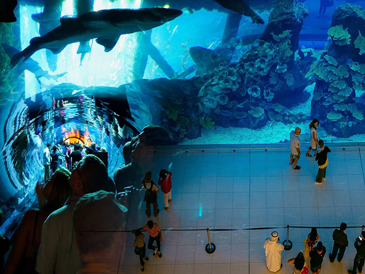 Vereenvoudig je reis naar de VAE met het volgende: Bezoek de 124e/125e verdieping van de Burj Khalifa, Shop in de Dubai Mall, Aquarium & Dierenparktour & Woestijnsafari met BBQ-diner in de Verenigde Arabische Emiraten., photo 2