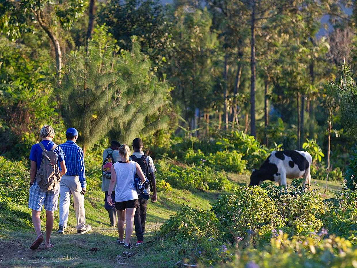 "Caminata Matutina Fresca en Arusha, Tanzania"
