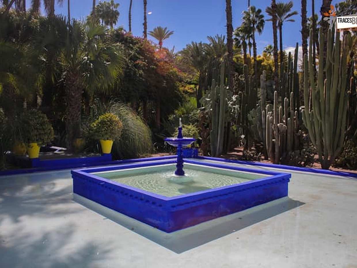 Visit Majorelle Gardens, Museum and Ramparts, photo 4