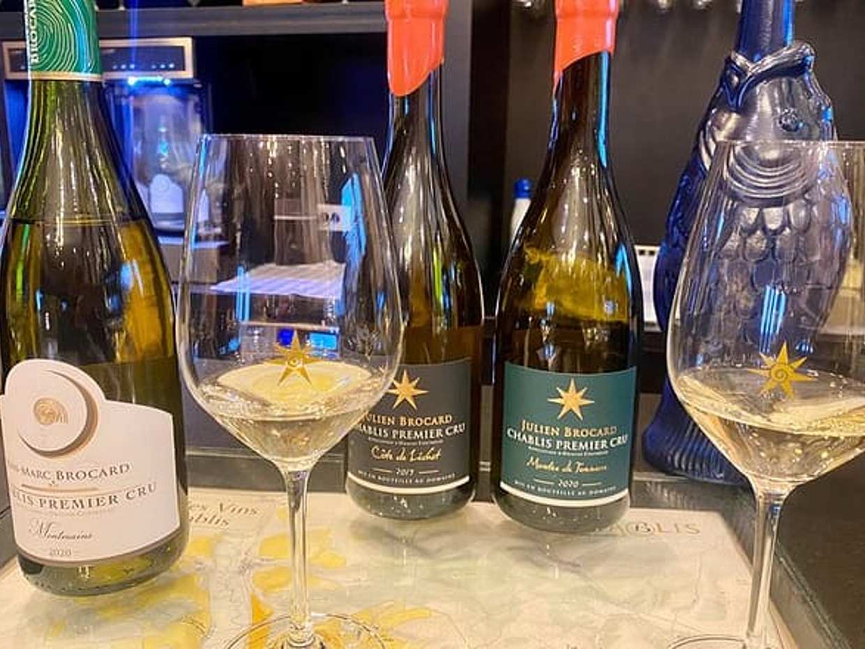 Private Exquisite Red & White Burgundy Wines Trip from Paris.