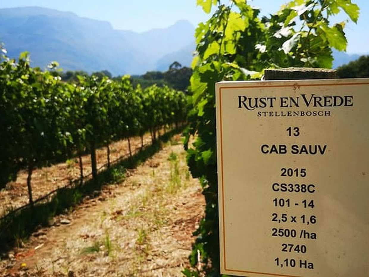 Private Cape Winelands Ful Day Ultra Flexible Guided Tour., photo 3