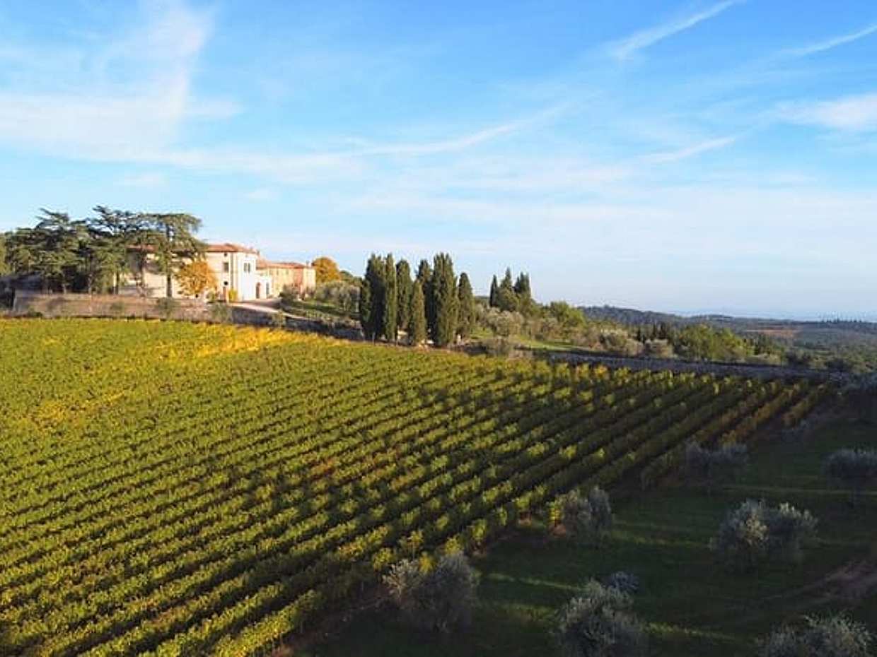 Exclusive Private Chianti Horseback Riding & Wine Tasting Experience from Florence, photo 4