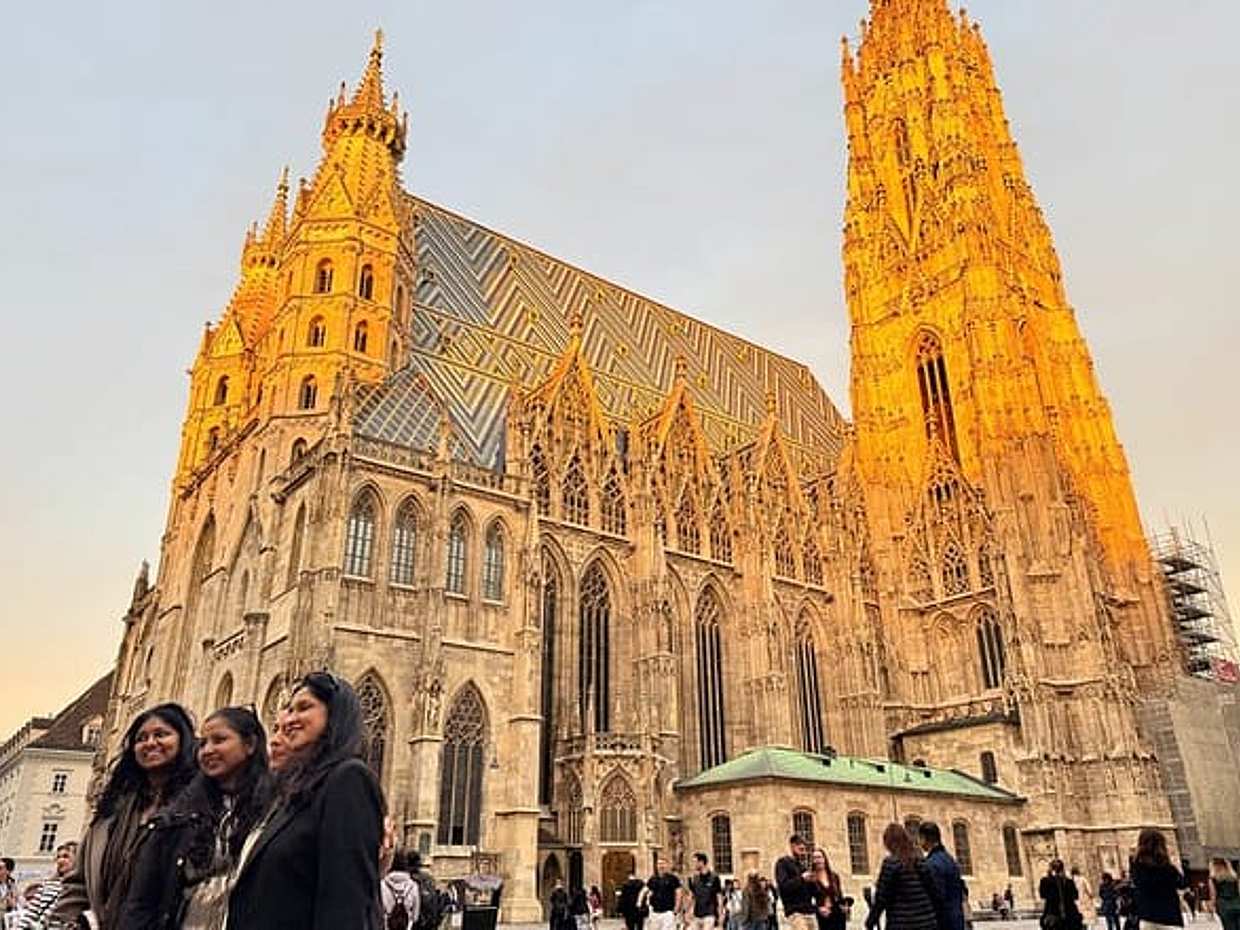 Recorrido privado por la ciudad de Viena: Palacios, iglesias y opción de tarta Sacher