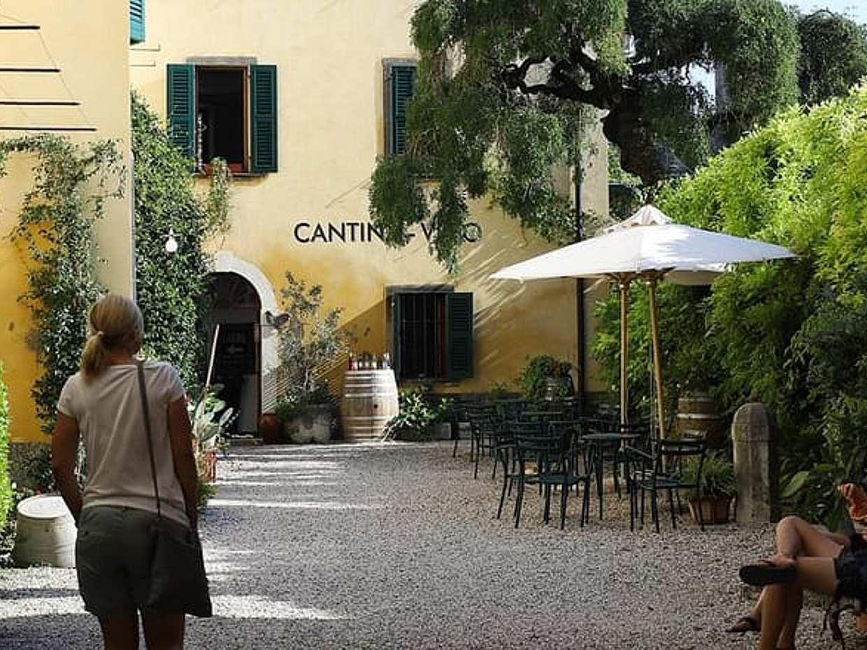 Wine Tasting in Historical Center of Lazise, photo 2