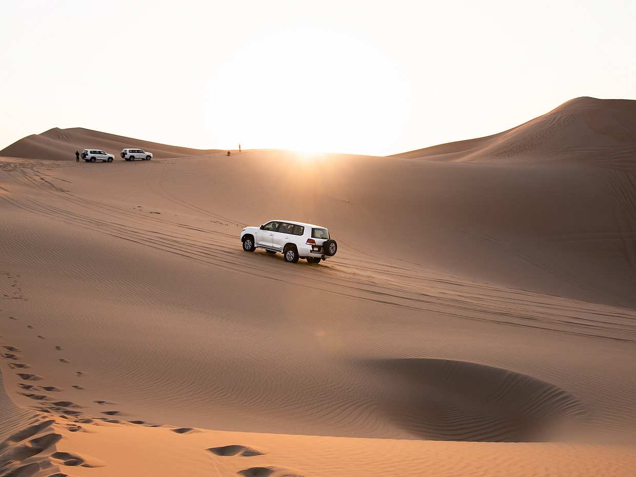Evening Desert Safari with Quad Bike Ride and Falcon Photography in Dubai, United Arab Emirates, photo 3