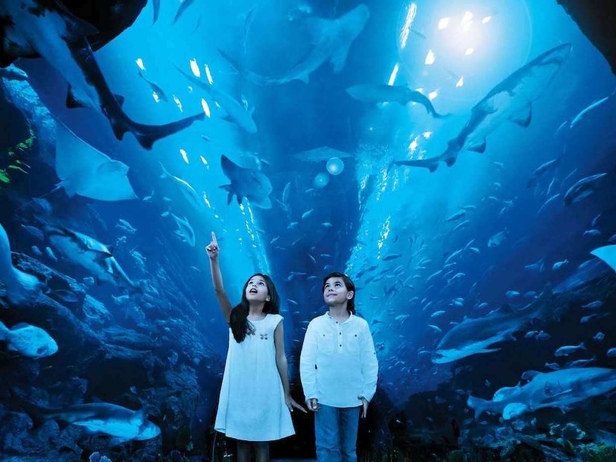 Burj Khalifa 148 Floor NON-PRIME + Under Water Zoo Combo in United Arab Emirates, Dubai, photo 4