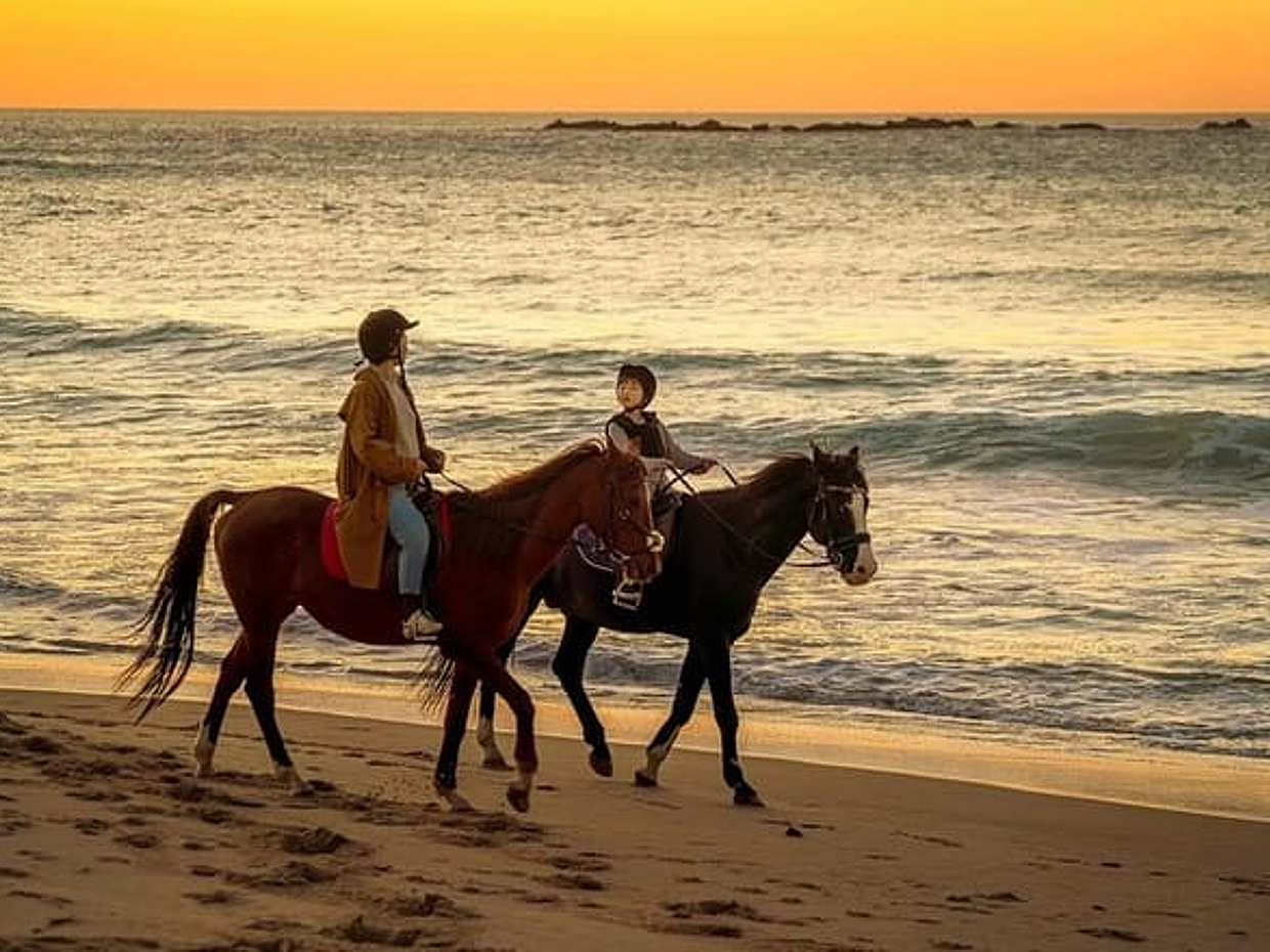 Tangier Mountain and Sea Horseback Riding Adventure in Morocco