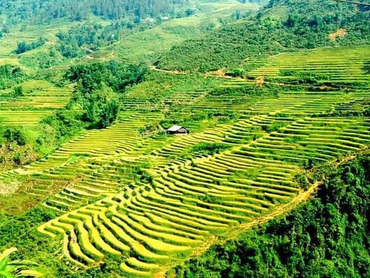 2 Days Group Trekking Tour from SAPA ( Homestay Overnight ), Vietnam, photo 4