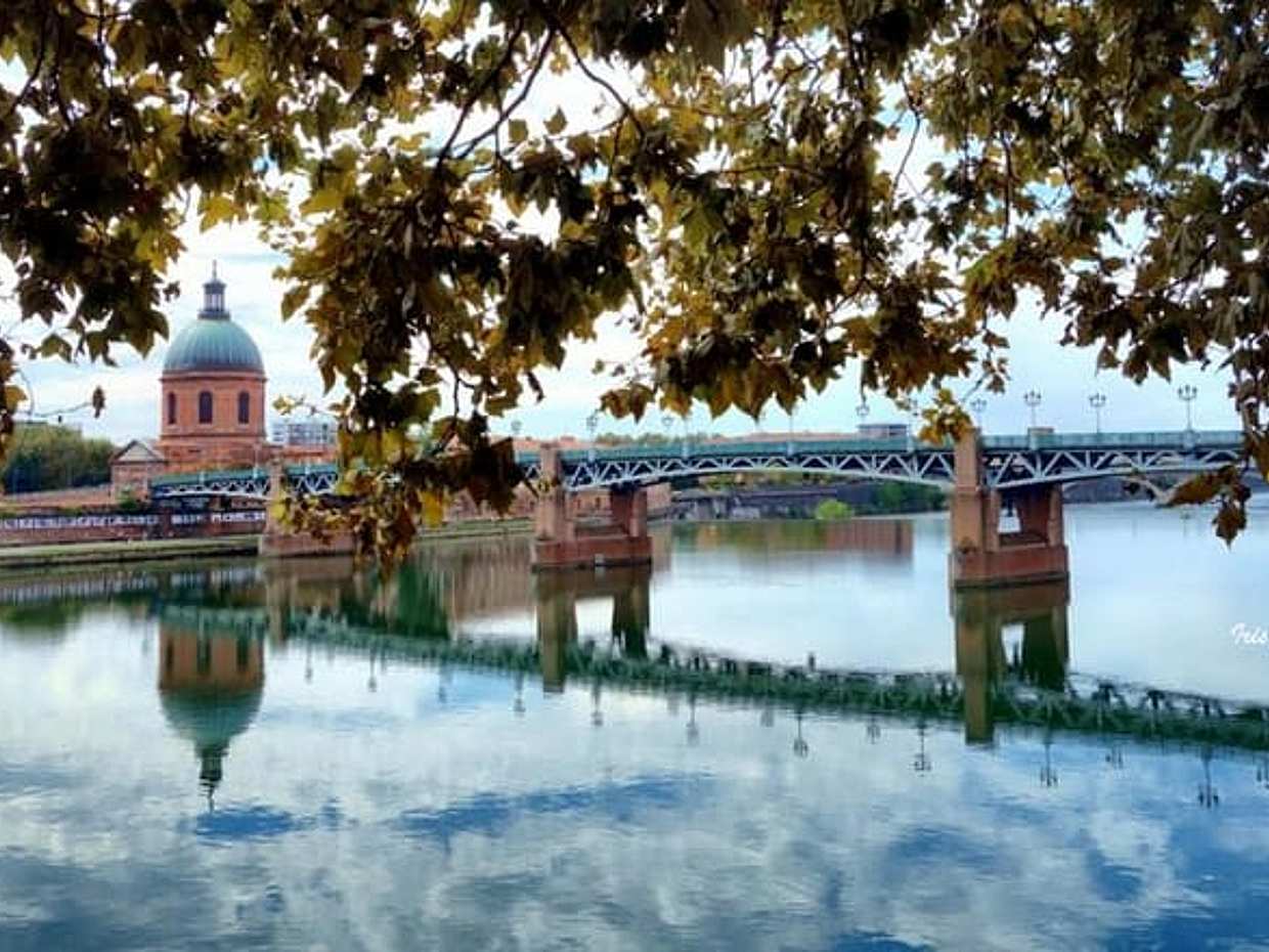 Toulouse Private Guided Walking Tour, photo 2